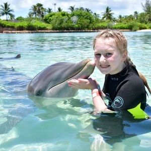 Meet your Posher, Priscilla